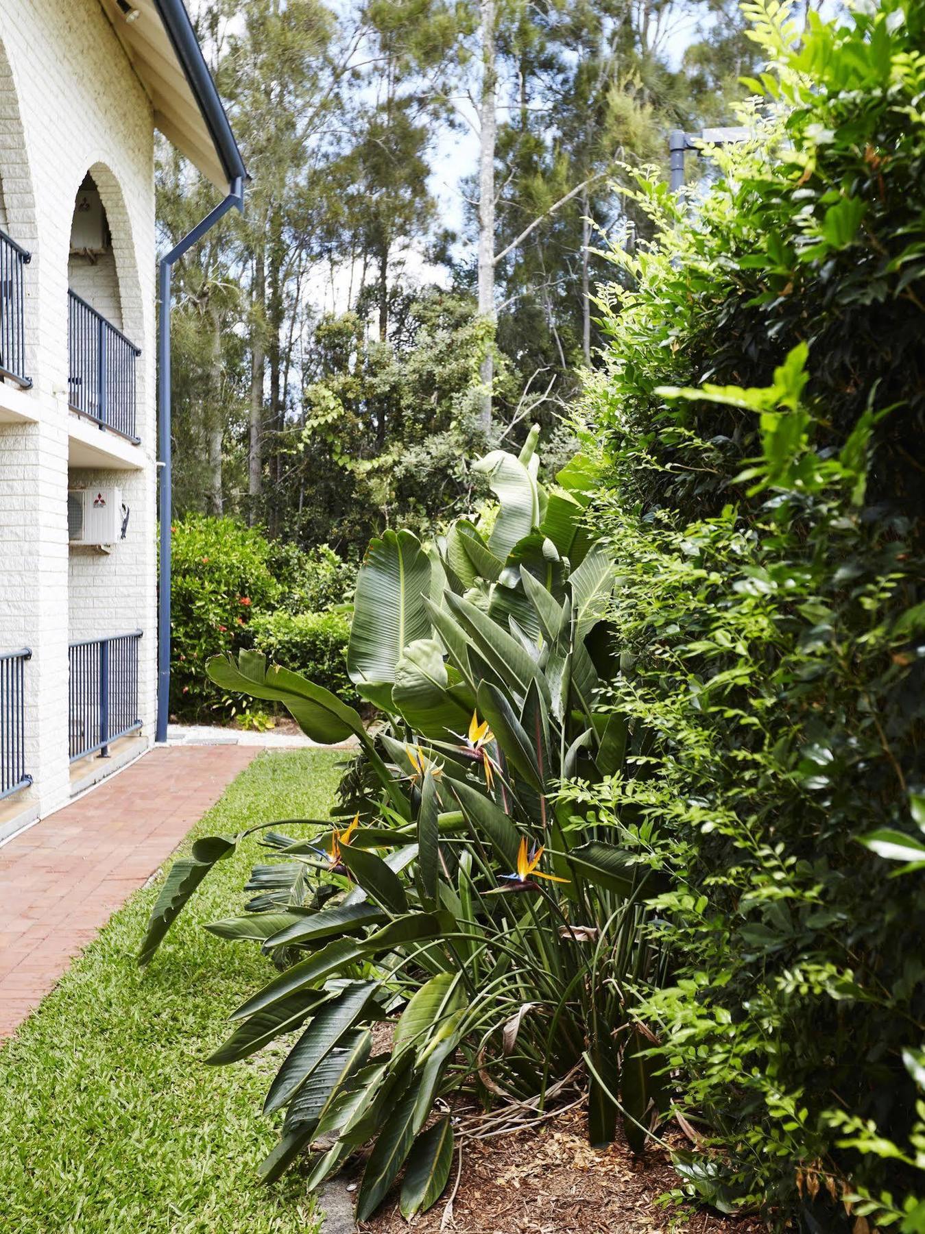 Bay Beach Motel Byron Bay Exteriör bild